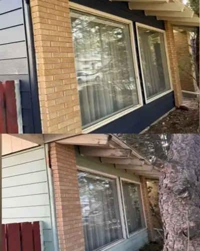 Reliable house painting