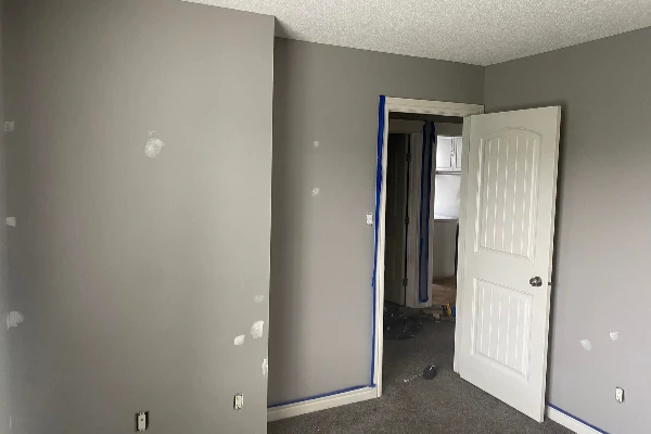 The Daily Paint's Other Services